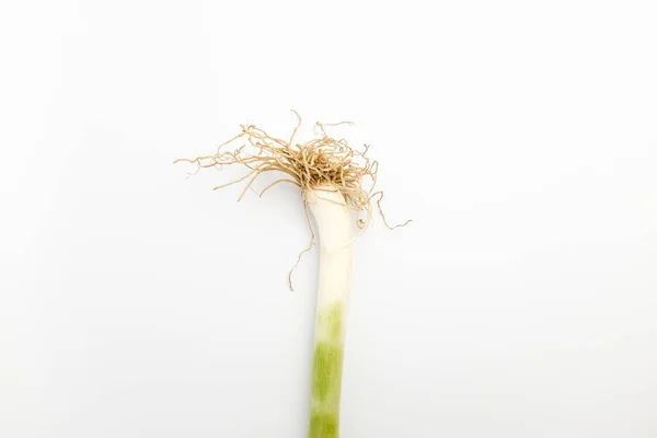 Dicke Und Lange Pflanze Grün Weiße Pflanzen Grüne Zwiebel Mit — Stockfoto