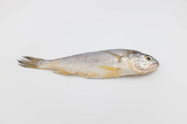Peixe Capturado Mar Peixe Comestível Peixe Peixe Peixe Mole Coroeiro — Fotografia de Stock
