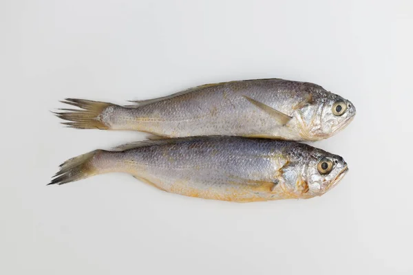 Peixe Capturado Mar Peixe Comestível Peixe Peixe Peixe Mole Coroeiro — Fotografia de Stock