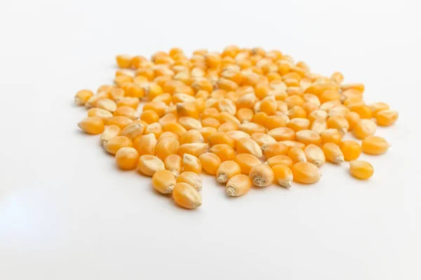 Corn Make Popcorn Hard Corn Yellow Plants — Foto de Stock