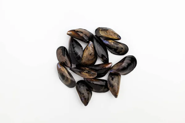 Shell Black Shell Crustacean Seafood Delicious Seafood Mussels — Stock Photo, Image