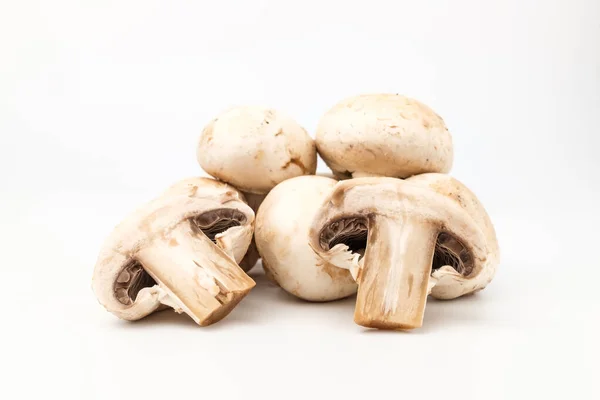 Mushrooms Small Size Ingredients Cooking Mushroom Soft Texture — Stock Photo, Image