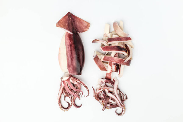 Seafood often eaten in Korea. Slick fish. Squid with chewy texture