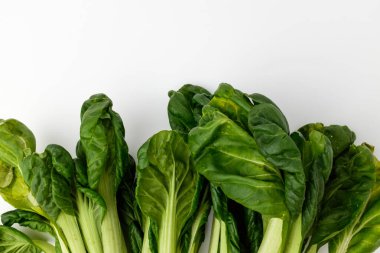 Güzel kokulu sebzeler. Yapraklı sebzeler. Salata malzemeleri.