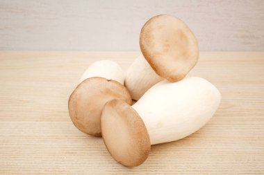 Büyük mantar. Yumuşak dokulu mantar. Yenilebilir Mantar