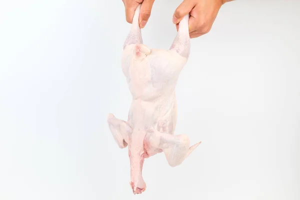 Свежая Сырая Курица Большая Курица Мясо Приготовления Пищи Маникюр — стоковое фото