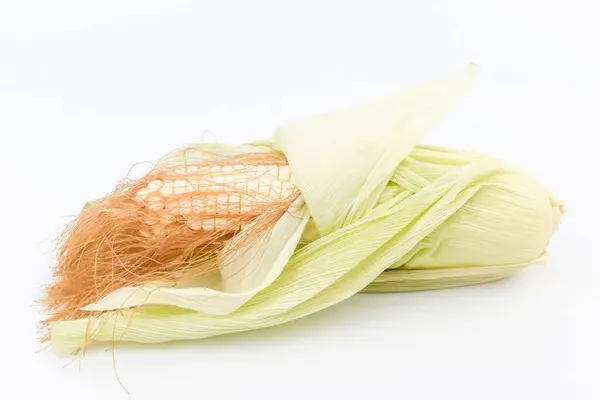 Raw Grain Uncooked Corn Elongated Grain Vegetables Shells — Foto de Stock