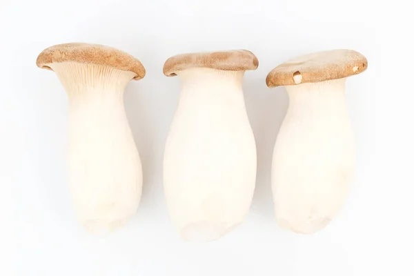 Large Mushroom Mushroom Soft Texture Edible Mushroom — Stock Photo, Image