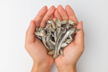 Et suyu için kurutulmuş ançüez. Baharatlı balık. Kurutulmuş balık. Güzel kokulu balık.