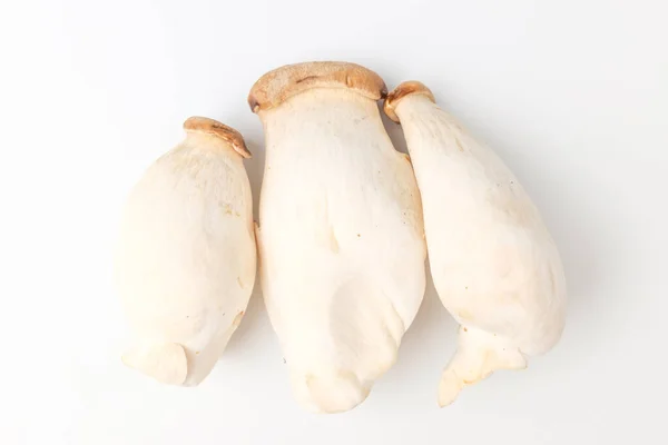 Small Sized Oyster Mushroom Edible Mushrooms Soft Edible Plant — Stock Photo, Image