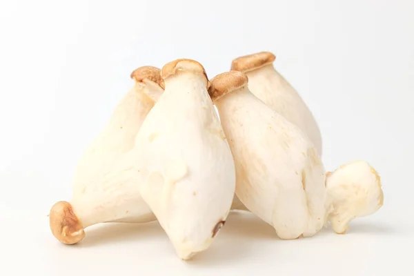 Small Sized Oyster Mushroom Edible Mushrooms Soft Edible Plant — Stock Photo, Image