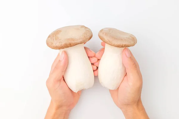Large Mushroom Mushroom Soft Texture Edible Mushroom — Foto de Stock