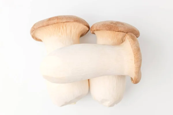 Large Mushroom Mushroom Soft Texture Edible Mushroom — Stock Photo, Image