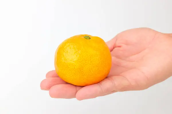 Saftige Früchte Zitrusfrüchte Obst Kleiner Größe Orangenfrucht — Stockfoto