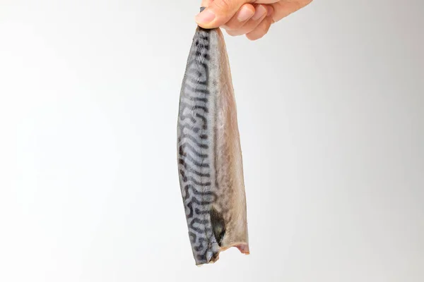 腌制的鲭鱼 整整齐齐的鲭鱼软鲭鱼 — 图库照片