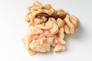 Dişi balık yumurtalığı. Balık bağırsağı. Kesilmiş balık bağırsağı. Kaynamış balık parçası.