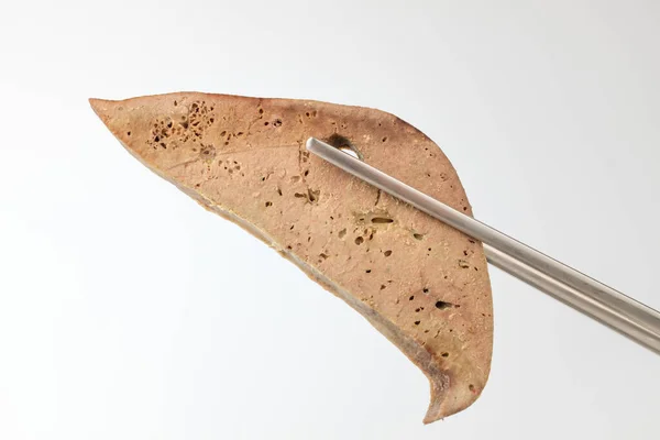 Comida Feita Com Intestinos Porco Comida Mastigável Salgada Alimentos Moles — Fotografia de Stock