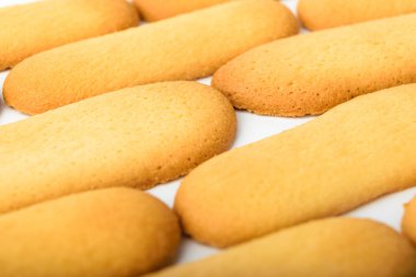 Yumuşak ve lezzetli kurabiyeler. Yumurtalı kurabiye ve süt. Tatlı tatlı