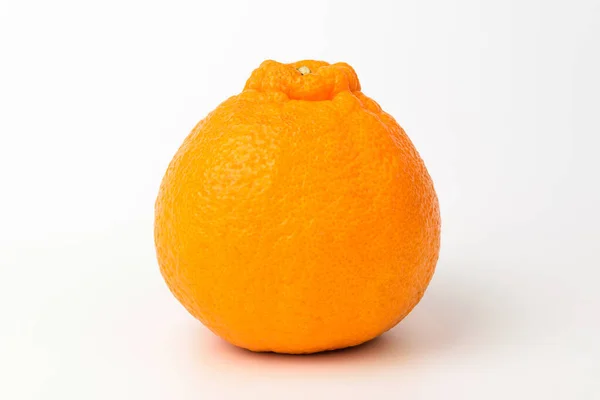 在济州岛生长的果实 甜酸的水果 柑橘类水果 — 图库照片