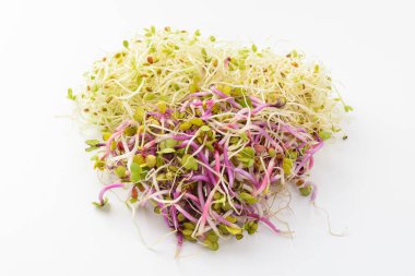 Genç yapraklı sebzeler. Güzel kokulu sebzeler. Yumuşak sebzeler