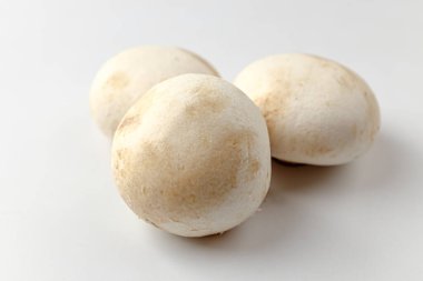 Küçük boy mantarlar. Yumuşak dokulu yenilebilir mantarlar. Genel bileşenler