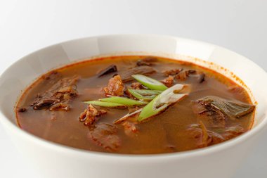 Acılı Baharatlı Et Çorbası. Et ve sebzeli çorba tabağı. Kore yemek kültürü