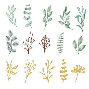 Sulu boya tarzında yeşil yapraklardan oluşan bir koleksiyon.