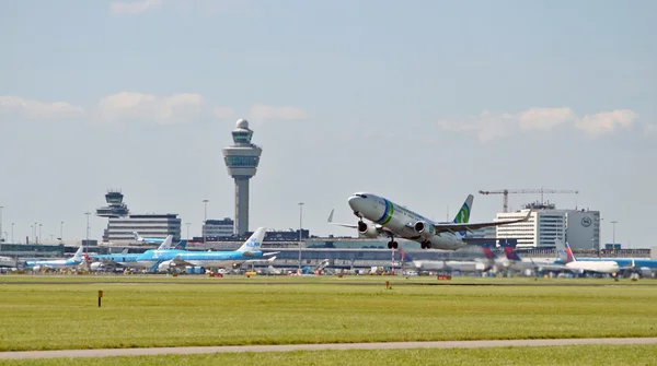Amsterdam airport schiphol kalkan uçak. — Stok fotoğraf