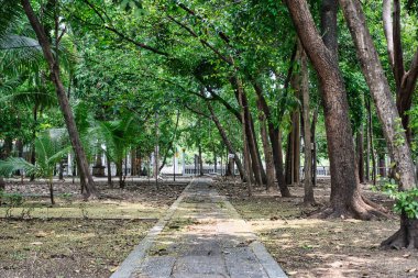 Wat Nang Chi Chotikaram tapınağının yanındaki küçük sessiz park.