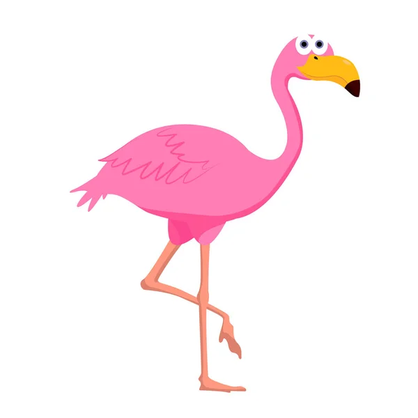 Vector Flamingo Pour Vos Idées — Image vectorielle