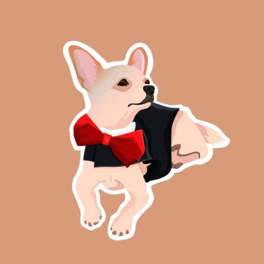 Küçük bir köpek hayvanının düz çizimi