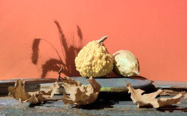 Doğal dekorlu ve sert gölgeli modern sonbahar tuğla podyumu. Mevsimlik sonbahar çevre dostu ürün modeli turuncu, sarı ve gri. Tuğla, meşe yaprağı ve balkabağı..