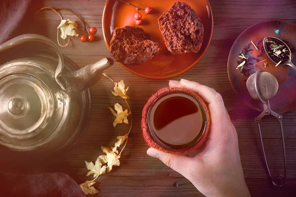 Kobieta Trzyma Filiżankę Ciepłej Herbaty Zimny Poranek Jesienią Lub Zimą — Zdjęcie stockowe