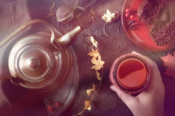 Kobieta Trzyma Filiżankę Ciepłej Herbaty Zimny Poranek Jesienią Lub Zimą — Zdjęcie stockowe