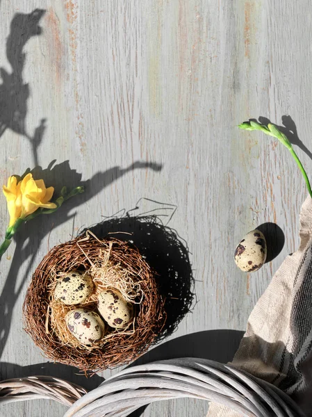 Fürj Húsvéti Tojás Madárfészekben Texturált Asztalon Sárga Fréziai Virágok Tavaszi — Stock Fotó