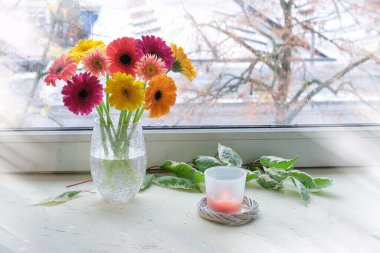 Pencere tahtasında pembe, morumsu, mercan ve sarı Gerbera çiçekleri var. Yeşil beyaz yapraklar. Gri soğuk hava dışarıda. Soğuk mevsimde sıcak ve rahat olun..
