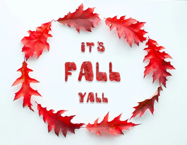 鮮やかな赤いオークの葉から作られた楕円形のフレームは 白い背景に平らなレイアウト 概要秋の花輪 自然の秋の装飾 — ストック写真