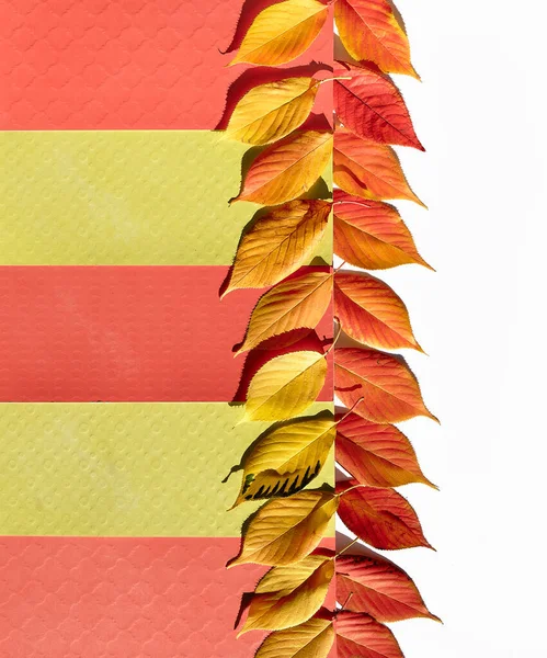 Dekorative Herbstbordüre Aus Geschichtetem Farbpapier Und Einer Reihe Orangefarbener Blätter — Stockfoto