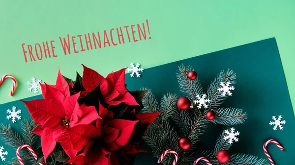 Frohe Weihnachten 독일어로 크리스마스를 크리스마스 파노라마 종이에 포인세티아 전나무 잔가지 — 스톡 사진