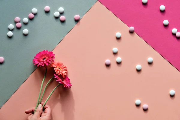 Vibrant Flat Lay Hand Holding Three Gerbera Daisy Flowers Two — Stock Photo, Image