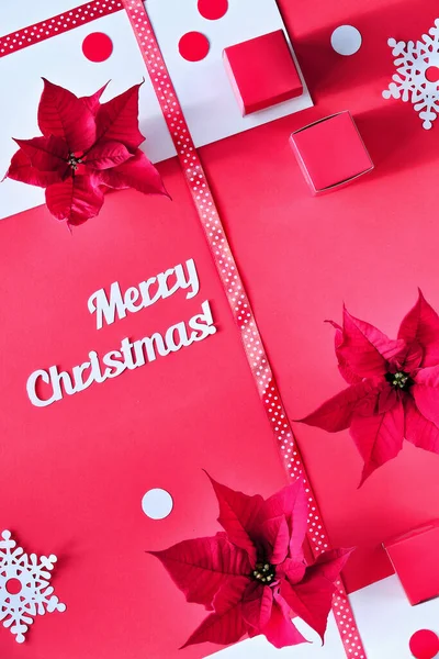 Text Merry Christmas Poinsettia Snowflakes Pink White Paper Confetti Top — Stock Photo, Image