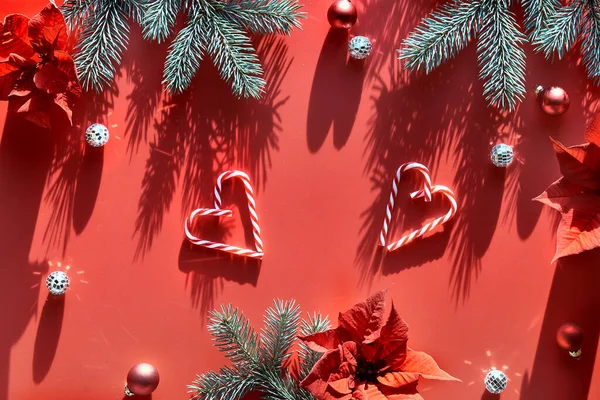 Christmas Festive Background Long Shadows Top View Fir Twigs Poinsettia — Stock Photo, Image
