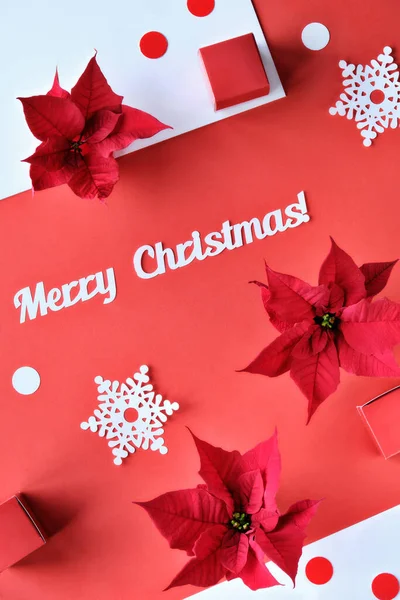 Text Merry Christmas Poinsettia Snowflakes Red White Paper Confetti Top — Stock Photo, Image