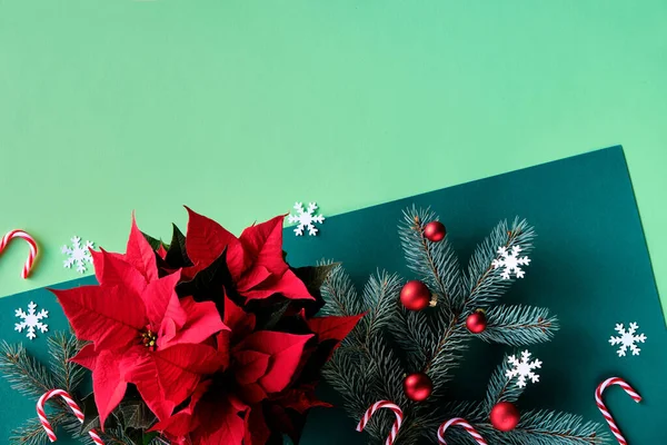 Christmas Two Tone Festive Background Green Paper Top View Poinsettia — Stock Photo, Image