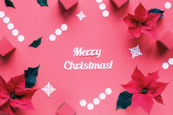 Poinsettia Fir Twigs Pink Paper White Hexagons Text Merry Christmas — Stock Photo, Image