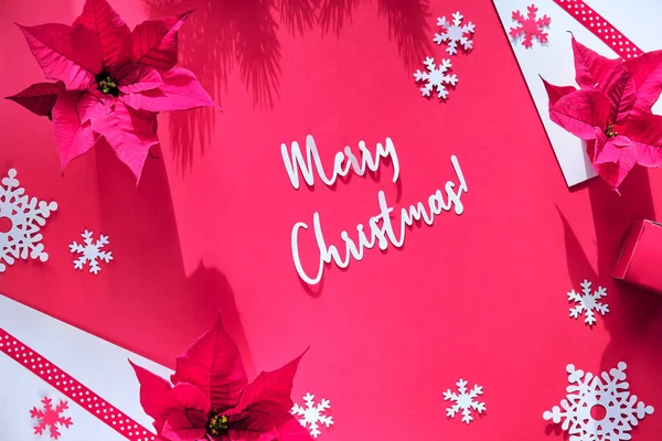 Пуансеттия Снежинки Красно Белые Бумажные Снежинки Напиши Счастливого Рождества Плоский — стоковое фото