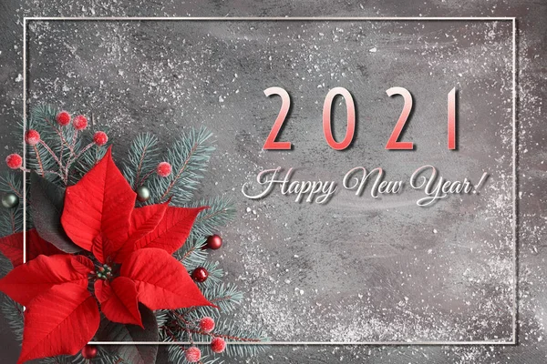 Новым 2021 Годом Рождественский Цветок Пуансеттия Украшенные Ели Ветки Темном — стоковое фото