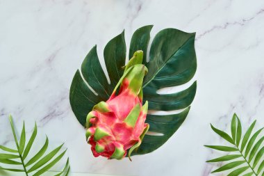 Fotokopi uzayı olan mermer masada taze organik pembe ejderha meyvesi, pitaya veya pitahaya ile yaratıcı düz bir düzen. Moda manzarası, egzotik ejderha meyvesi düzlüğü, canavar ve palmiye yaprakları..