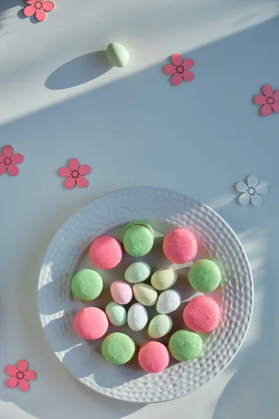 Springtime, Easter sweets on white background, long shadows. Spring decorations, pink flowers. Pink and mint green macaroons on white plate. Tasty creative dessert in trendy pastel colors.