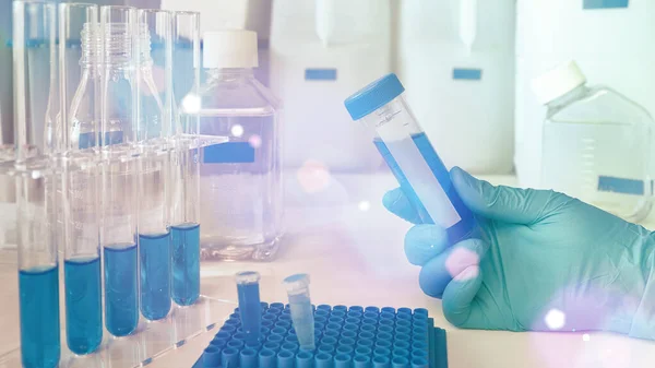 Hand Hand Mit Automatischer Pipette Und Proben Panoramabild Polymerase Chain — Stockfoto